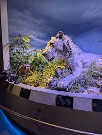 Toledo Museum Of Science photo 3