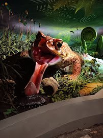 Toledo Museum Of Science photo 4
