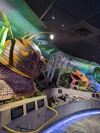 Toledo Museum Of Science photo 5