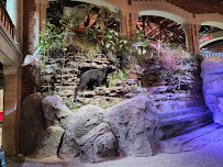 Toledo Museum Of Science photo 6