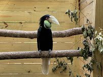 North Florida Wildlife Center photo 6