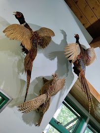 Nature Center at Cheesequake State Park photo 6