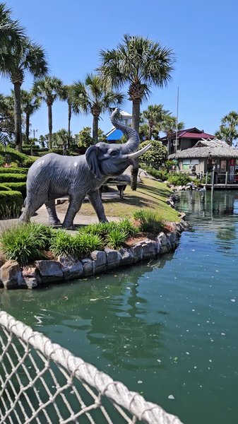 Coconut Creek Family Fun Park photo 2