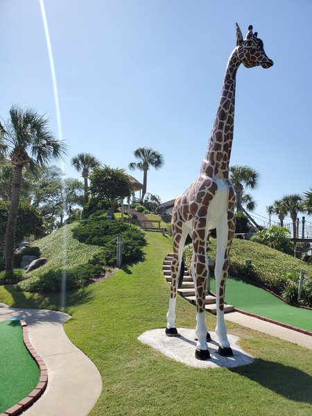 Coconut Creek Family Fun Park photo 6