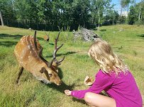 Paul Bunyan Animal Land photo 4