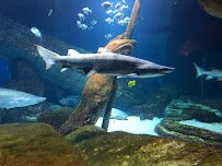 Long Island Aquarium