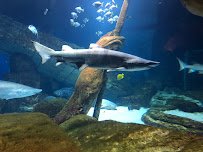 Long Island Aquarium