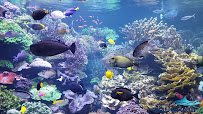 Long Island Aquarium photo 2