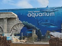 Long Island Aquarium photo 3