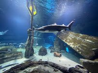 Long Island Aquarium photo 4