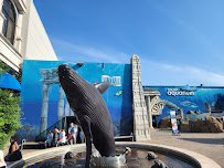 Long Island Aquarium photo 5
