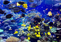Long Island Aquarium photo 6