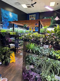 Fish Happens photo 2