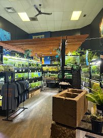 Fish Happens photo 5