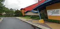Bumper Cars