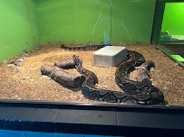 Reptile World Serpentarium photo 4