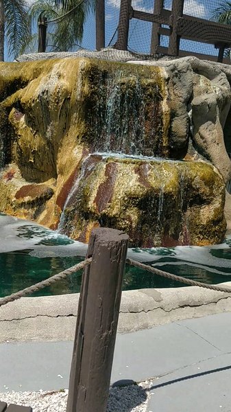 Coral Cay Adventure Golf photo 2