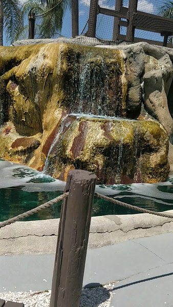 Coral Cay Adventure Golf photo 2