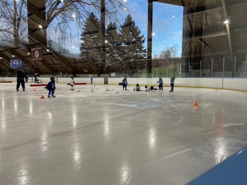 Evarts Rink
