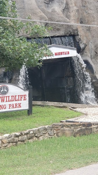 Mystery Mountain photo 4