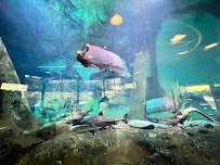 Amazon & Beyond photo 3