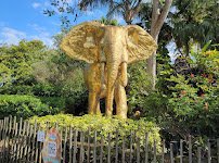 Amazon & Beyond photo 4