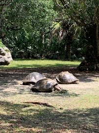 Amazon & Beyond photo 5