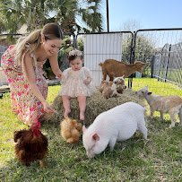 Mimi's Mini Farm - a Mobile Petting Zoo