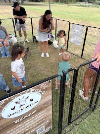 Mimi's Mini Farm - a Mobile Petting Zoo photo 3