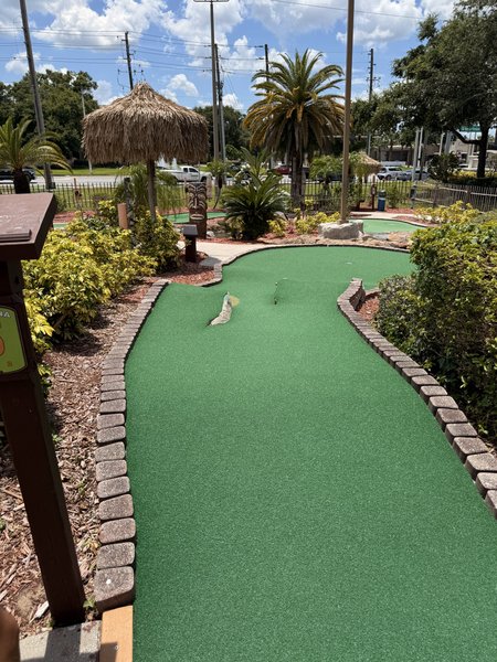 Hawaiian Rumble Adventure Golf photo 6