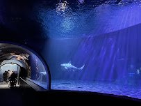 Oklahoma Aquarium photo 4
