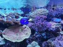 Oklahoma Aquarium photo 6