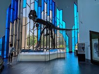 Museum at Prairiefire photo 4