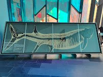 Museum at Prairiefire photo 6