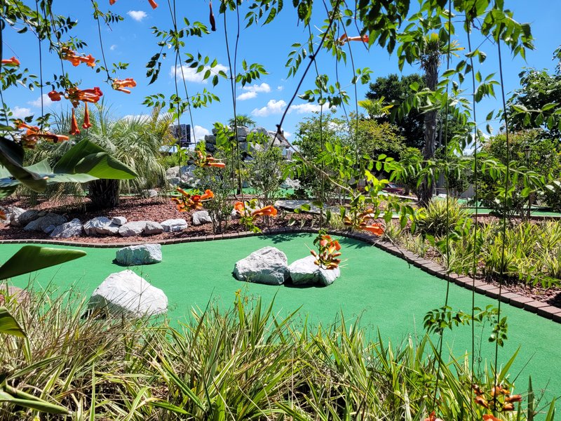Bananas Mini Golf & Arcade photo 5