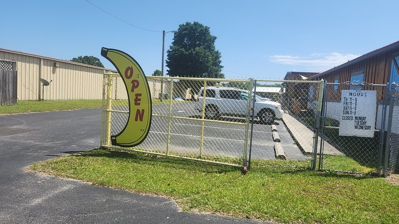 Bananas Mini Golf & Arcade photo 6