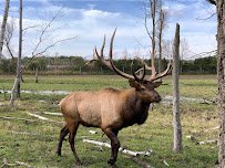 Shalom Wildlife Sanctuary LLC photo 3