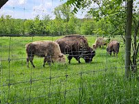 Shalom Wildlife Sanctuary LLC photo 4