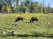 Shalom Wildlife Sanctuary LLC photo 5