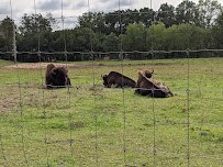 Shalom Wildlife Sanctuary LLC photo 6