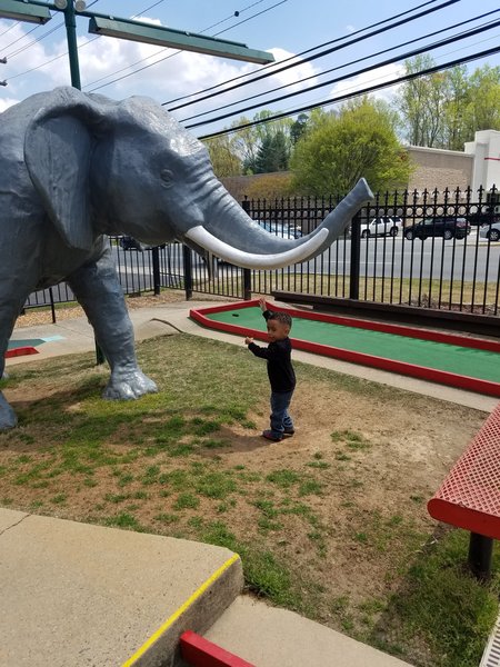 Adventure Landing Gastonia photo 4
