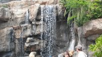 Mutual of Omaha's Wild Kingdom Pavilion photo 3