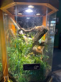 Mutual of Omaha's Wild Kingdom Pavilion photo 4