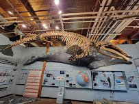 Cabrillo Marine Aquarium