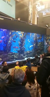 Cabrillo Marine Aquarium photo 2
