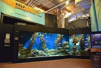 Cabrillo Marine Aquarium photo 3