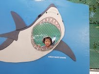 Cabrillo Marine Aquarium photo 5