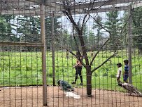 Wilderness Walk Zoo photo 6