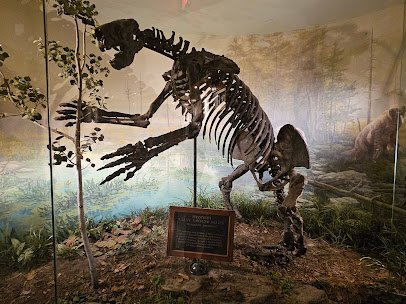 Ancient Ozarks Natural History Museum