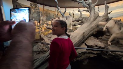 Ancient Ozarks Natural History Museum photo 2